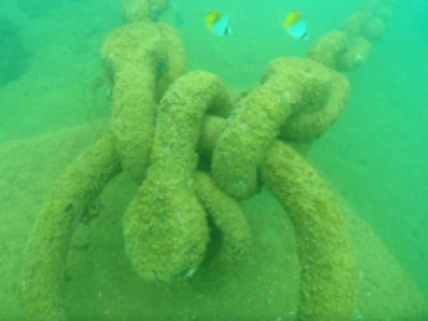 Inspection des apparaux maritimes — ETSM Nouvelle-Calédonie 5